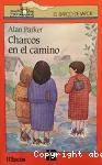 Charcos en el camino vignette